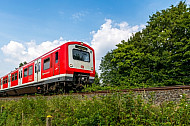 S-Bahn in Hamburg in der Natur