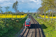 Ein Regionalzug vor der Fehmarnsundbrücke in Schleswig-Holstein