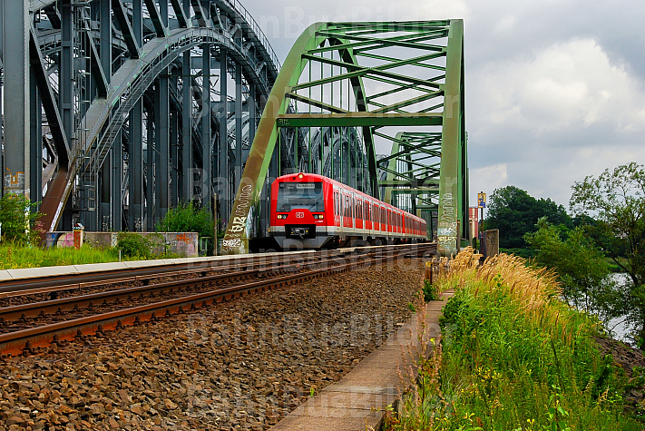 S-Bahn auf den Norderelbbrücken in Hamburg