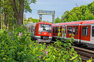 Ein Hamburger S-Bahn-Zug fährt bei Frühlingswetter am Dammtor an blühenden Blumen vorbei