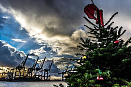 Ein geschmückter Weihnachtsbaum auf Hamburger Hafenfähre
