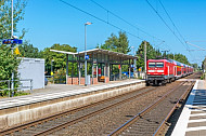 Regionalzug im Bahnhof Horst in Schleswig-Holstein