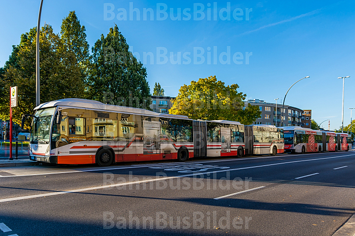 Zwei Doppelgelenkbusse an einer Haltestelle in Hamburg