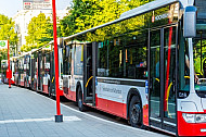 Mehrere abgestellte Busste stehen an der Alsterchaussee in Hamburg
