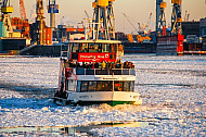 Hafenfähre Hafencity auf der vereisten Elbe in Hamburg