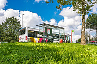 Ein Linienbus steht in Hamburg an der Billstraße an einer Haltestelle