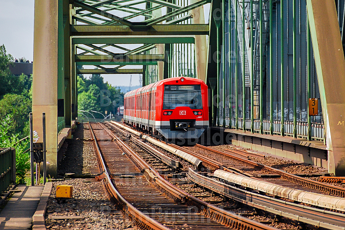 S-Bahn auf den Norderelbbrücken in Hamburg