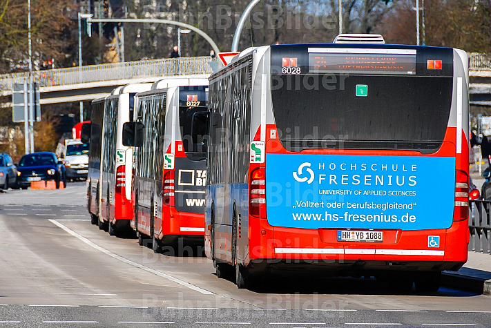 Pulkbildung: mehrere Busse stehen in der Haltestelle Stephansplatz in Hamburg