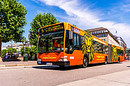 Metrobus 6 am Rathausmarkt in Hamburg