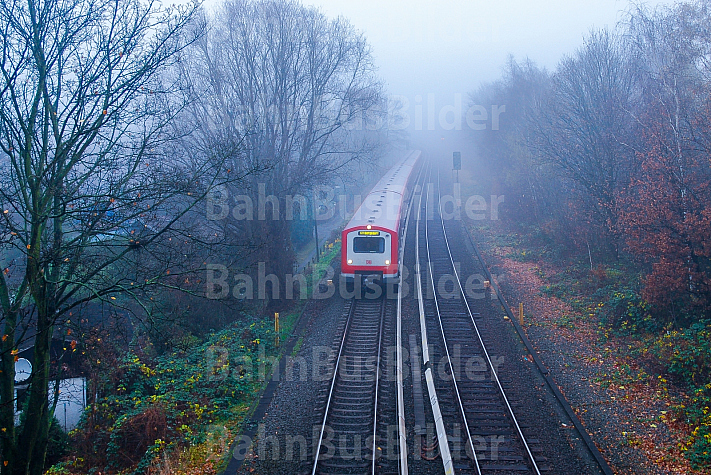 S-Bahn bei Hamburg-Stellingen im Nebel