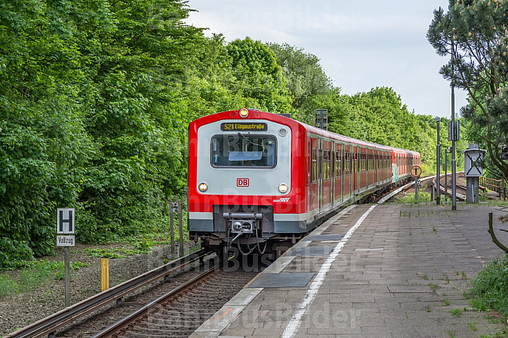 Ein Hamburger S-Bahn-Zug in der grün gelegenen Haltestelle Langenfelde