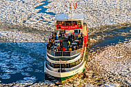 Hafenfähre Harburg im Eis in Hamburg