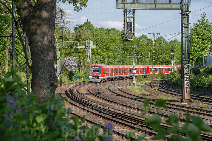 Ein Hamburger S-Bahn-Zug der Baureihe 474 fährt bei Frühlingswetter auf der Verbindungsbahn am Dammtor