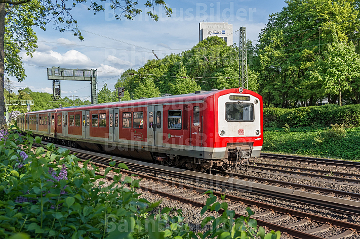 Ein Hamburger S-Bahn-Zug der Baureihe 472 fährt bei Frühlingswetter auf der Verbindungsbahn am Dammtor
